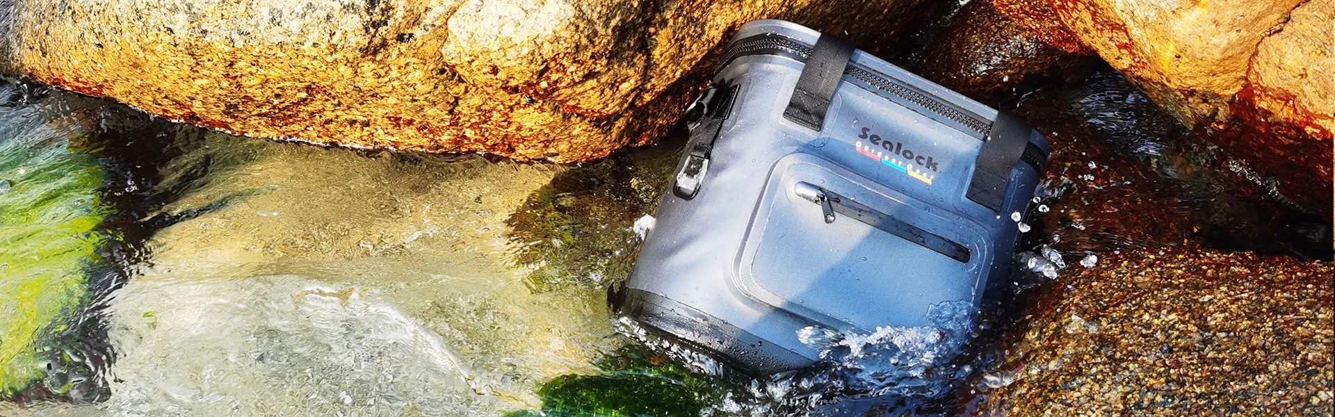 دانلود کنید